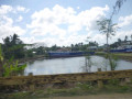 P1020895