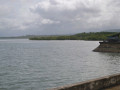 DSC 0109