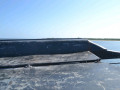 DSC 0415
