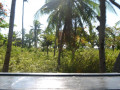 DSC 0420