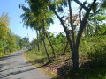 DSC 0421