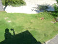DSC 0425