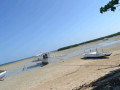 DSC 0437