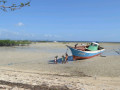 DSC 0438