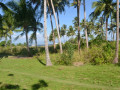 DSC 0442