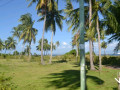 DSC 0443