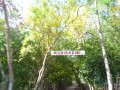 DSC 0446
