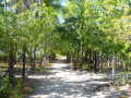 DSC 0456