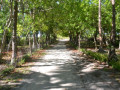 DSC 0457