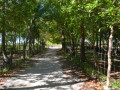 DSC 0458