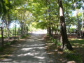 DSC 0459