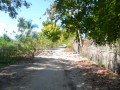 DSC 0460