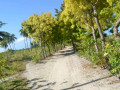 DSC 0463