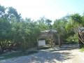 DSC 0468