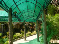 P1020964