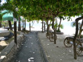 DSC 0485