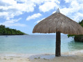 DSC 0499
