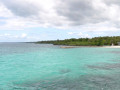 DSC 0530