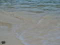 DSC 0542