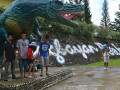 DSC 0137
