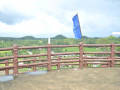 DSC 0182
