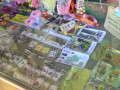 DSC 0358