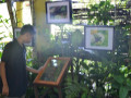 DSC 0365