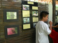 DSC 0390