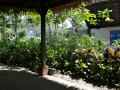 DSC 0403