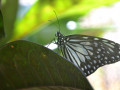 DSC 0406