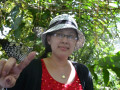 DSC 0412