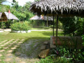 DSC 0435