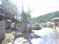 DSC 0694