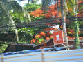 DSC 0695