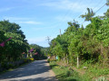 DSC 0700