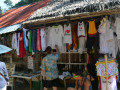 DSC 0713