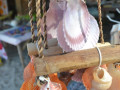 DSC 0721