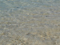 DSC 0733