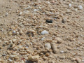 DSC 0739