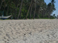 DSC 0740