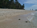 DSC 0741
