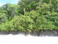 DSC 0744