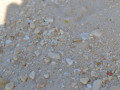 DSC 0750