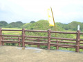 DSC 0186
