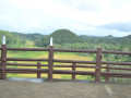 DSC 0188