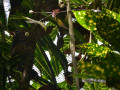 DSC 0203