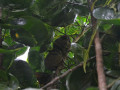 DSC 0204