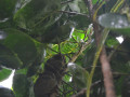 DSC 0205