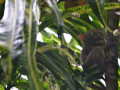 DSC 0206
