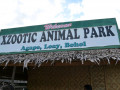 DSC 0487